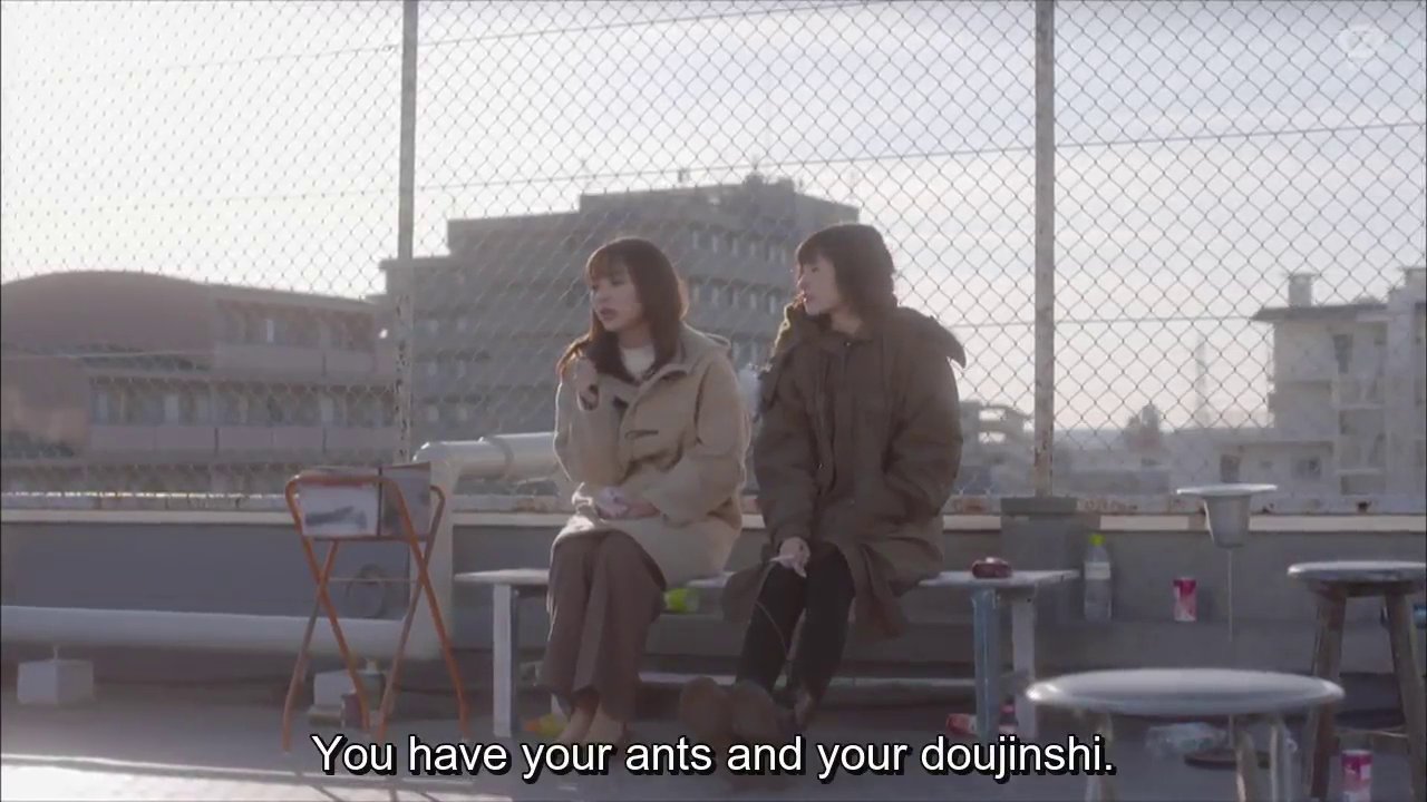 Momoe: You have your ants and your doujinshi.